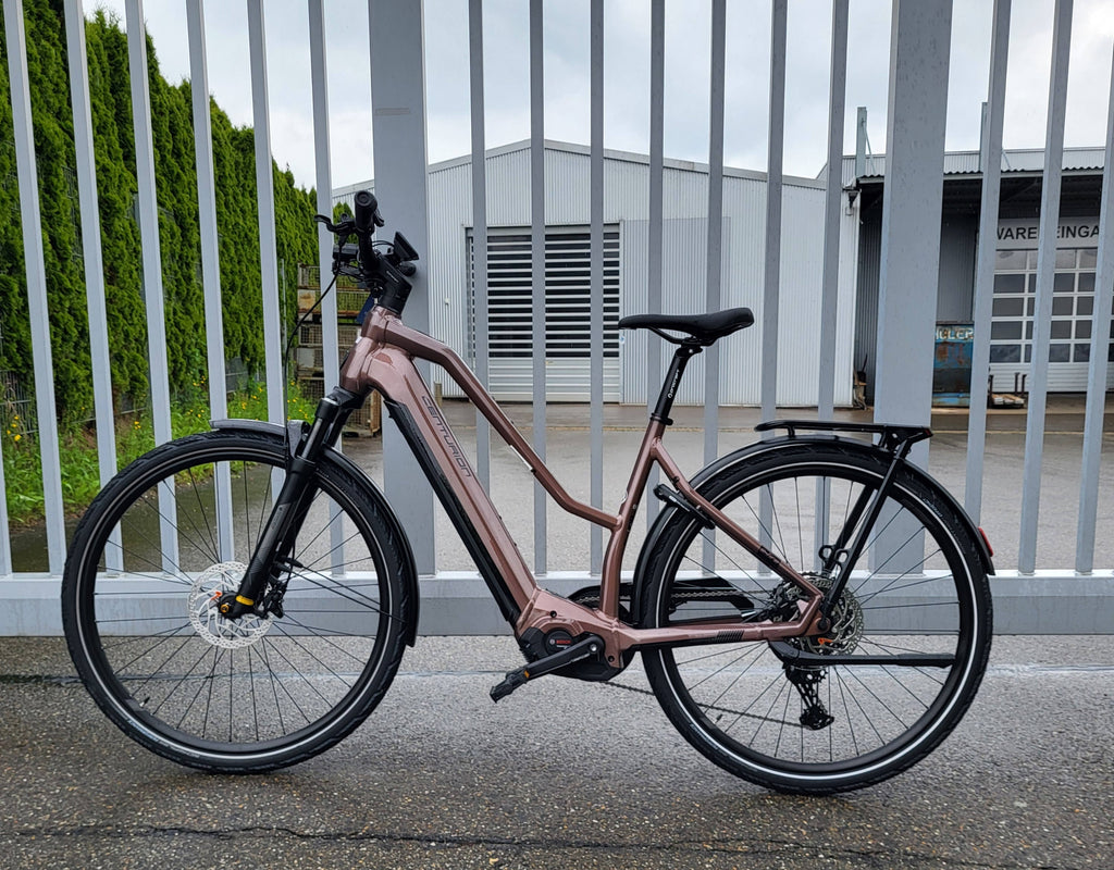 Centurion E-Fire R2000i T merlot 2024 28" 750 (Gr. M,S 625) Wh Trapez